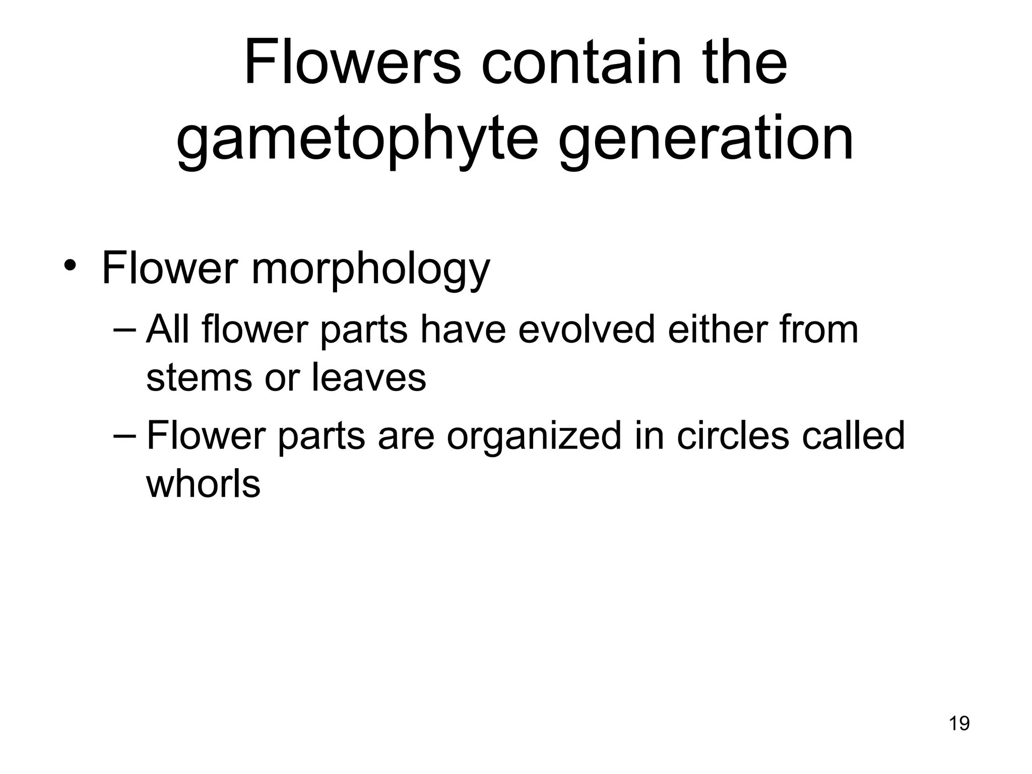 Flowers contain the
gametophyte generation
• Flower morphology
– All flower parts have evolved either from
stems or leaves
– Flower parts are organized in circles called
whorls
19
 