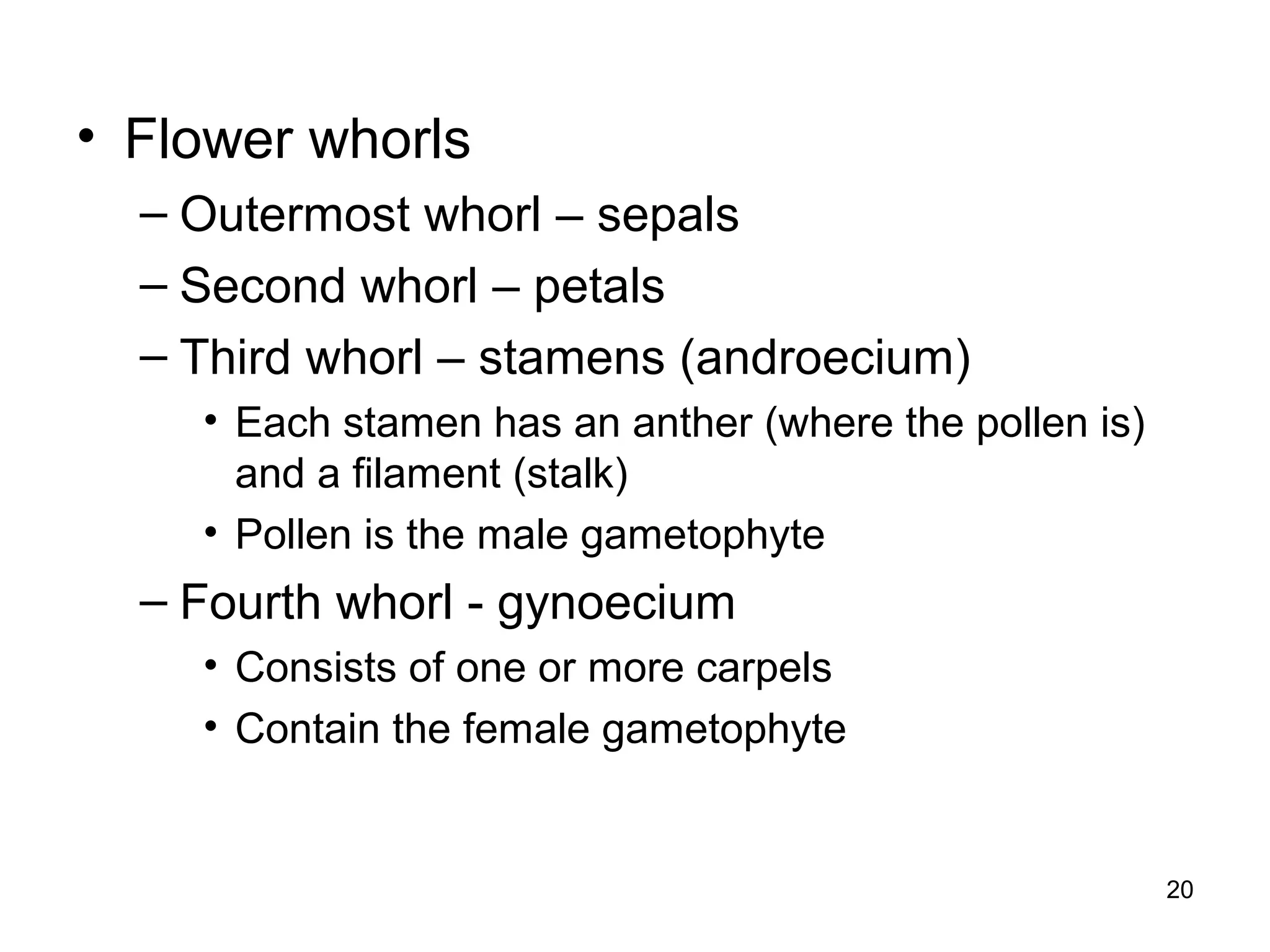 • Flower whorls
– Outermost whorl – sepals
– Second whorl – petals
– Third whorl – stamens (androecium)
• Each stamen has an anther (where the pollen is)
and a filament (stalk)
• Pollen is the male gametophyte
– Fourth whorl - gynoecium
• Consists of one or more carpels
• Contain the female gametophyte
20
 