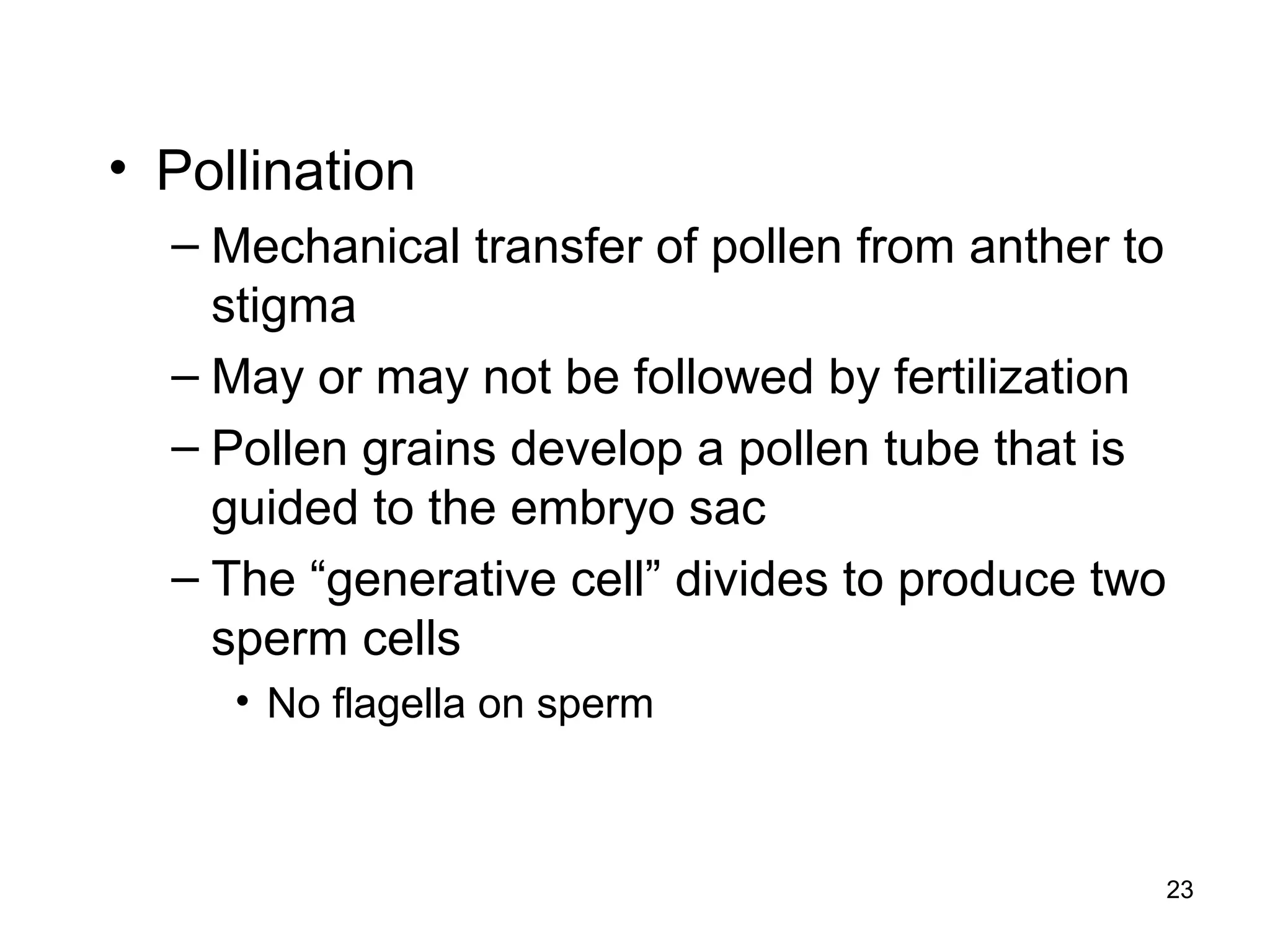 • Pollination
– Mechanical transfer of pollen from anther to
stigma
– May or may not be followed by fertilization
– Pollen grains develop a pollen tube that is
guided to the embryo sac
– The “generative cell” divides to produce two
sperm cells
• No flagella on sperm
23
 