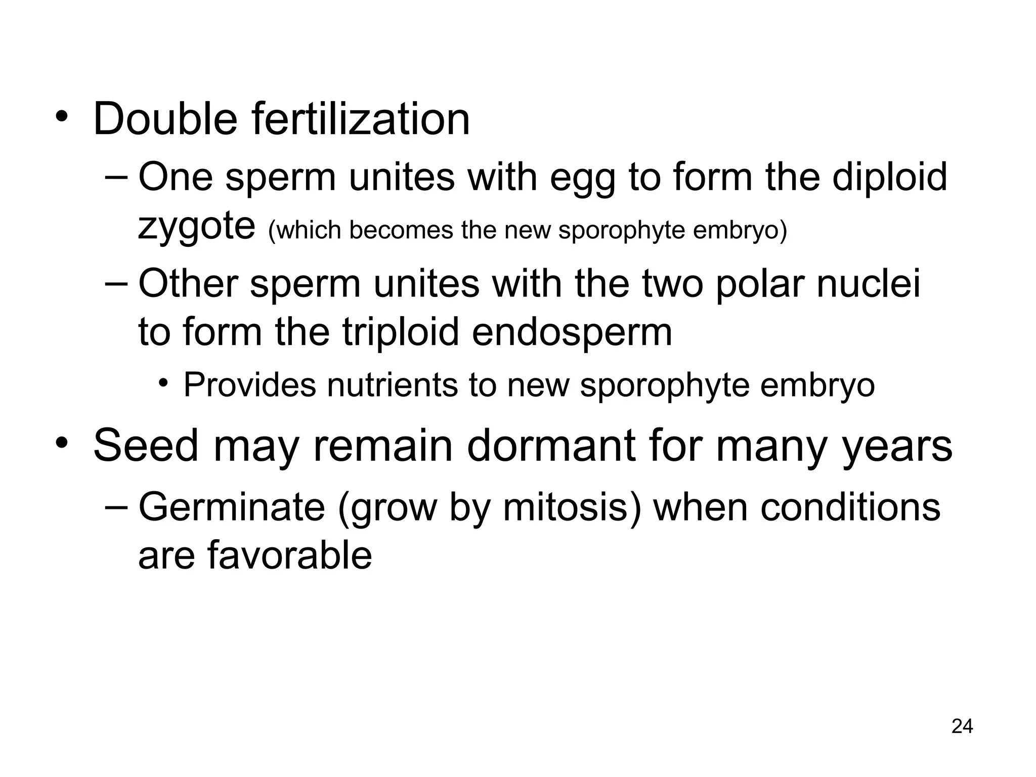 • Double fertilization
– One sperm unites with egg to form the diploid
zygote (which becomes the new sporophyte embryo)
– Other sperm unites with the two polar nuclei
to form the triploid endosperm
• Provides nutrients to new sporophyte embryo
• Seed may remain dormant for many years
– Germinate (grow by mitosis) when conditions
are favorable
24
 