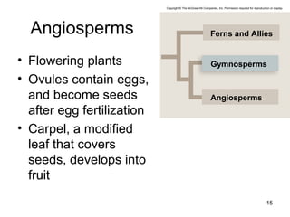 Angiosperms
• Flowering plants
• Ovules contain eggs,
and become seeds
after egg fertilization
• Carpel, a modified
leaf that covers
seeds, develops into
fruit
15
Ferns and Allies
Angiosperms
Gymnosperms
Copyright © The McGraw-Hill Companies, Inc. Permission required for reproduction or display.
 