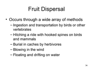 Fruit Dispersal
• Occurs through a wide array of methods
– Ingestion and transportation by birds or other
vertebrates
– Hitching a ride with hooked spines on birds
and mammals
– Burial in caches by herbivores
– Blowing in the wind
– Floating and drifting on water
34
 