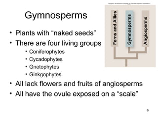 Gymnosperms
• Plants with “naked seeds”
• There are four living groups
• Coniferophytes
• Cycadophytes
• Gnetophytes
• Ginkgophytes
• All lack flowers and fruits of angiosperms
• All have the ovule exposed on a “scale”
6
Copyright © The McGraw-Hill Companies, Inc. Permission required for reproduction or
display.
Angiosperms
Gymnosperms
FernsandAllies
 