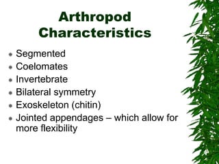 Arthropod
Characteristics
 Segmented
 Coelomates
 Invertebrate
 Bilateral symmetry
 Exoskeleton (chitin)
 Jointed appendages – which allow for
more flexibility
 