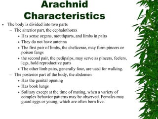 Arachnid
Characteristics
 The body is divided into two parts
– The anterior part, the cephalothorax
 Has sense organs, mouthparts, and limbs in pairs
 They do not have antenna
 The first pair of limbs, the chelicerae, may form pincers or
poison fangs
 the second pair, the pedipalps, may serve as pincers, feelers,
legs, hold reproductive parts
 The other limb pairs, generally four, are used for walking.
– The posterior part of the body, the abdomen
 Has the genital opening
 Has book lungs
 Solitary except at the time of mating, when a variety of
complex behavior patterns may be observed. Females may
guard eggs or young, which are often born live.
 