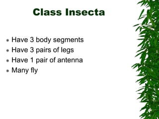 Class Insecta
 Have 3 body segments
 Have 3 pairs of legs
 Have 1 pair of antenna
 Many fly
 