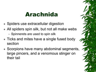 Chapter 26 notes Arthropods.ppt
