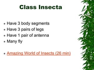 Chapter 26 notes Arthropods.ppt