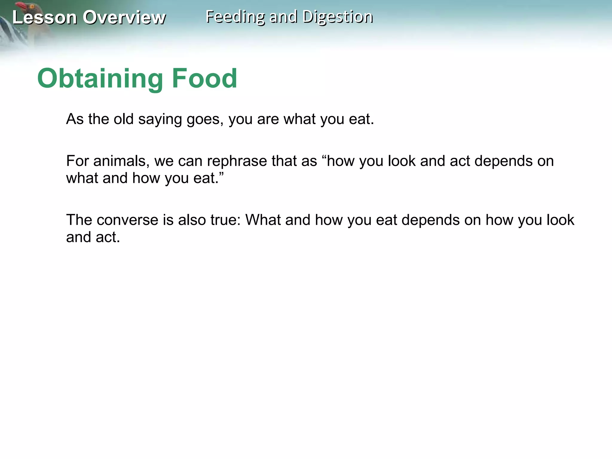 Obtaining Food As the old saying goes, you are what you eat.  For animals, we can rephrase that as “how you look and act depends on what and how you eat.”  The converse is also true: What and how you eat depends on how you look and act.  