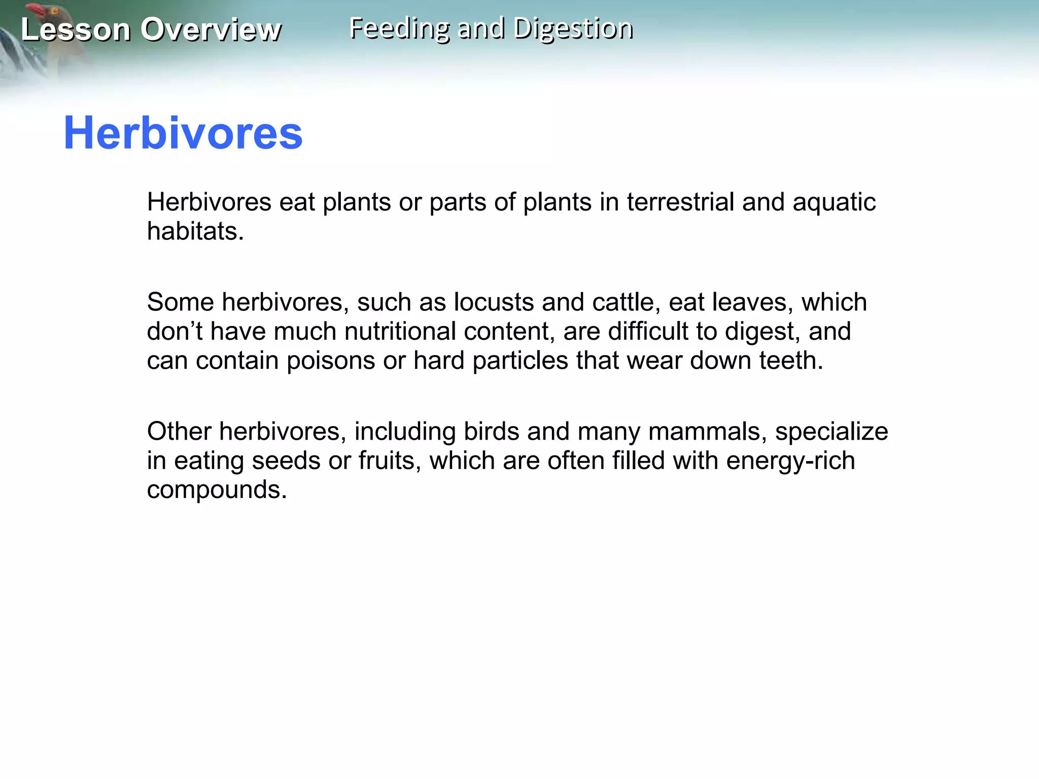 Herbivores  Herbivores eat plants or parts of plants in terrestrial and aquatic habitats. Some herbivores, such as locusts and cattle, eat leaves, which don’t have much nutritional content, are difficult to digest, and can contain poisons or hard particles that wear down teeth. Other herbivores, including birds and many mammals, specialize in eating seeds or fruits, which are often filled with energy-rich compounds. 