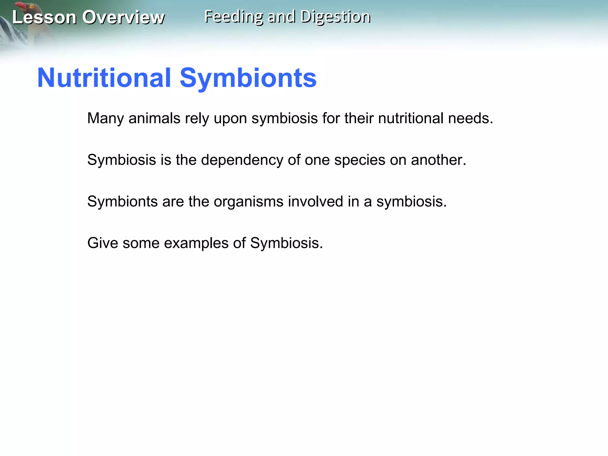 Nutritional Symbionts  Many animals rely upon symbiosis for their nutritional needs. Symbiosis is the dependency of one species on another. Symbionts are the organisms involved in a symbiosis. Give some examples of Symbiosis. 