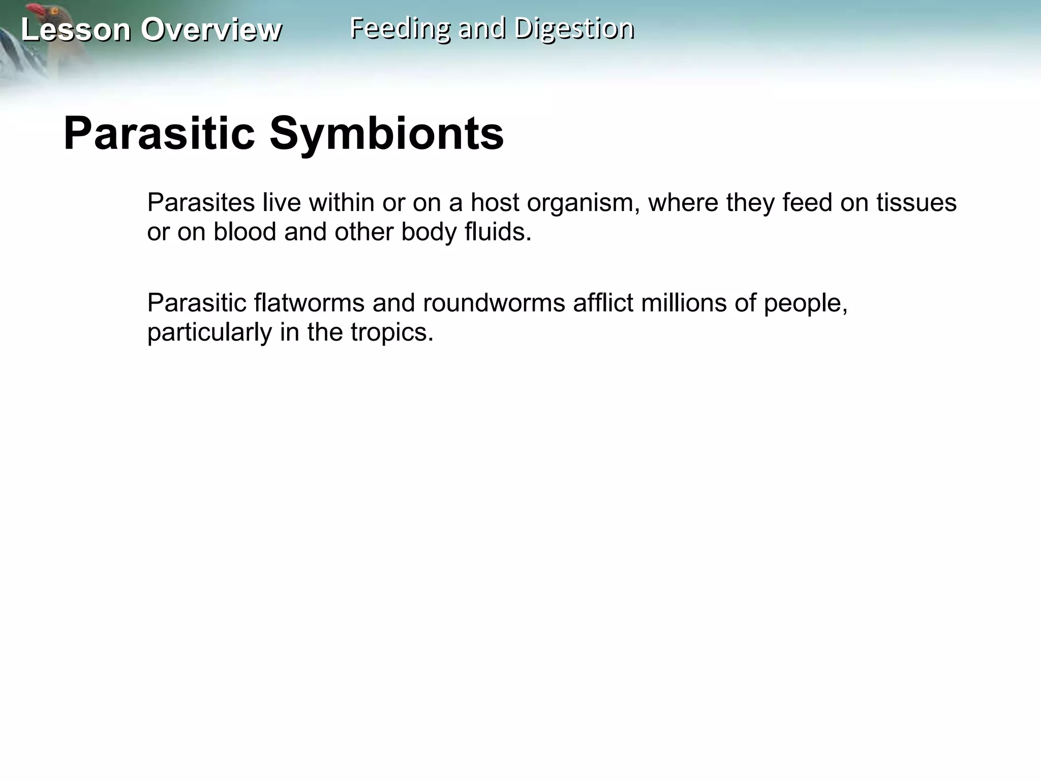 Parasitic Symbionts  Parasites live within or on a host organism, where they feed on tissues or on blood and other body fluids.  Parasitic flatworms and roundworms afflict millions of people, particularly in the tropics. 