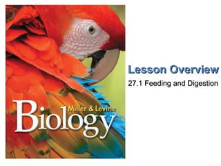 Lesson Overview 27.1 Feeding and Digestion 
