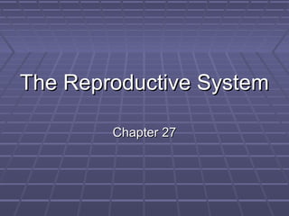 The Reproductive SystemThe Reproductive System
Chapter 27Chapter 27
 