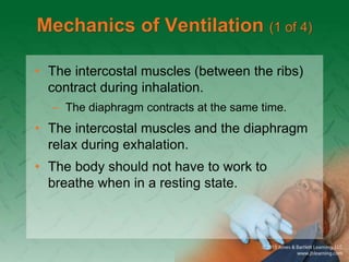 Ventilating Rib Chapter_27.ppt