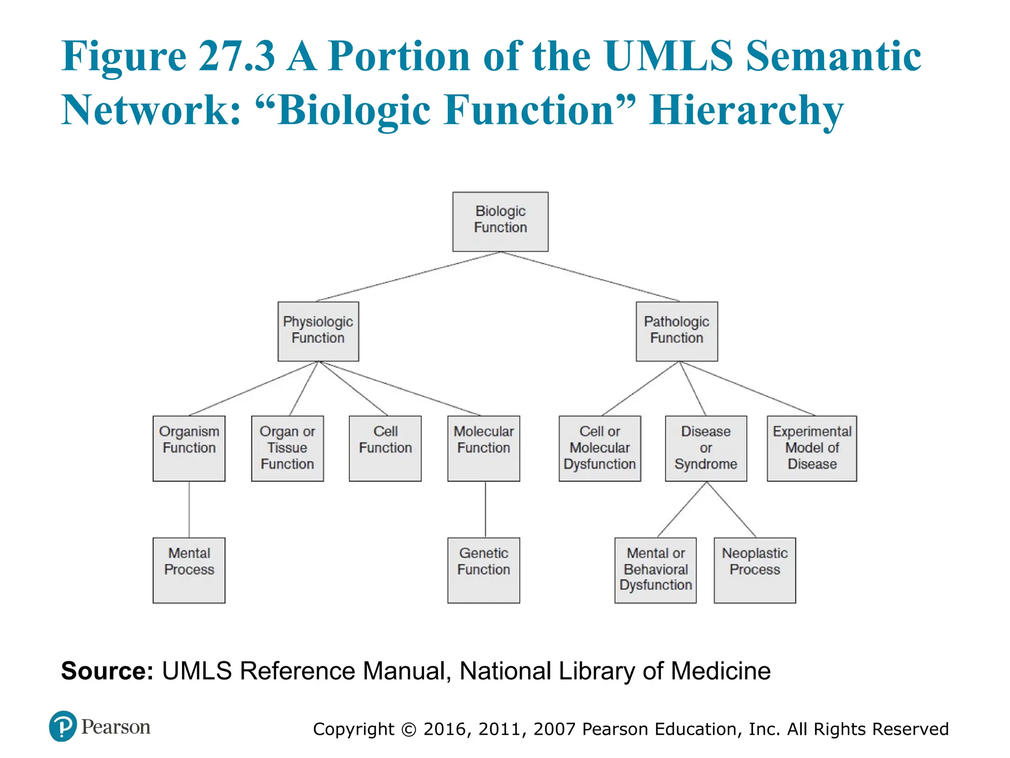 Copyright © 2016, 2011, 2007 Pearson Education, Inc. All Rights Reserved
Figure 27.3 A Portion of the UMLS Semantic
Network: “Biologic Function” Hierarchy
Source: UMLS Reference Manual, National Library of Medicine
 