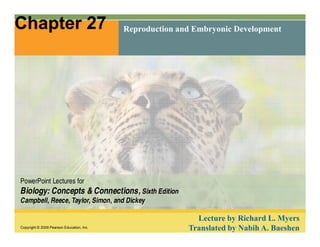 Chapter 27 Reproduction and Embryonic Development 
PowerPoint Lectures for 
Biology: Concepts & Connections, Sixth Edition 
Campbell, Reece, Taylor, Simon, and Dickey 
Copyright © 2009 Pearson Education, Inc. 
Lecture by Richard L. Myers 
Translated by Nabih A. Baeshen 
 