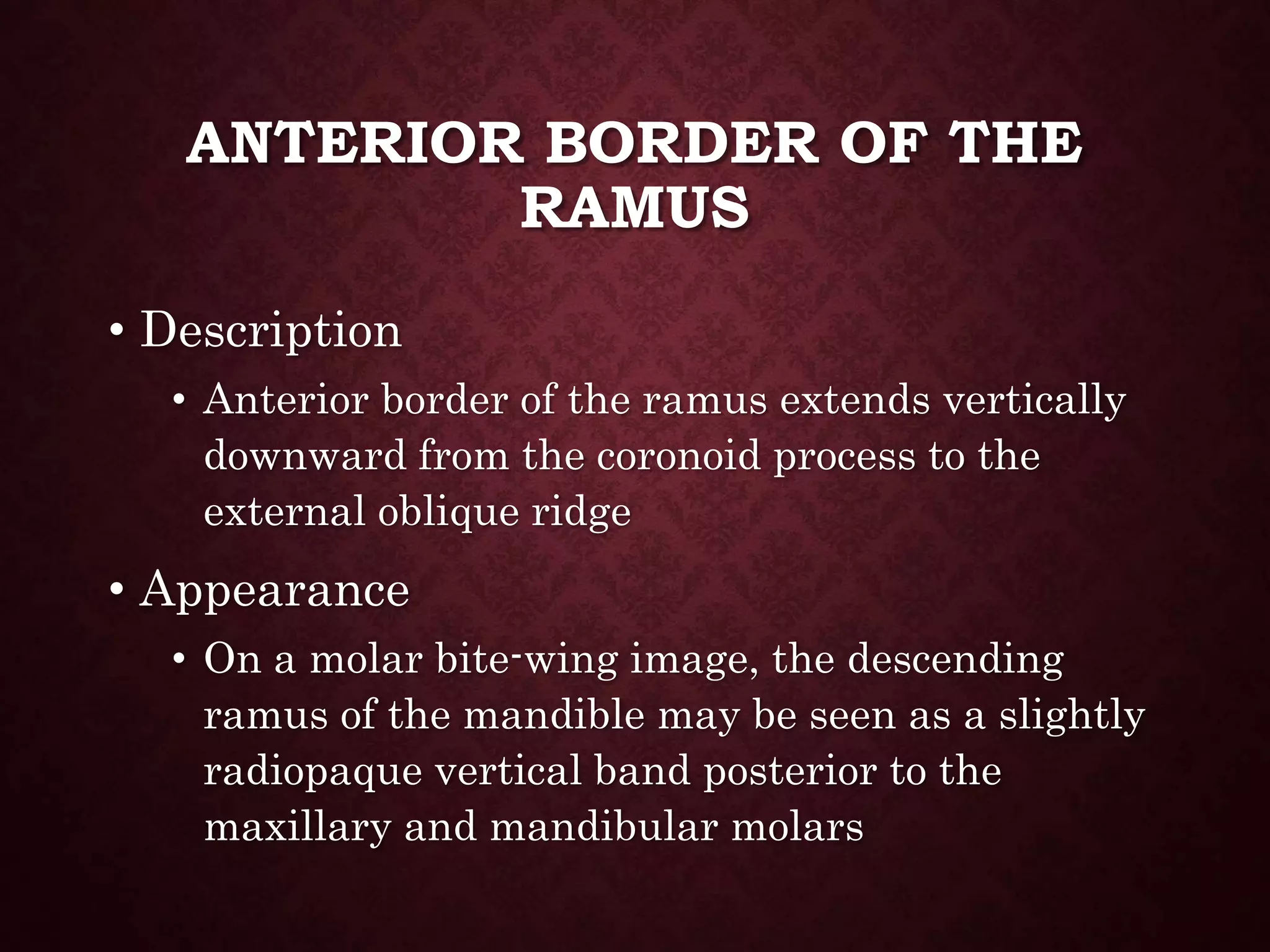 Chapter 27:Normal Anatomy: Intraoral Images | PPTX