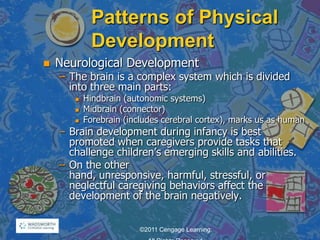 Patterns of Physical
Development
 Neurological Development
– The brain is a complex system which is divided
into three main parts:
 Hindbrain (autonomic systems)
 Midbrain (connector)
 Forebrain (includes cerebral cortex), marks us as human
– Brain development during infancy is best
promoted when caregivers provide tasks that
challenge children‘s emerging skills and abilities.
– On the other
hand, unresponsive, harmful, stressful, or
neglectful caregiving behaviors affect the
development of the brain negatively.
©2011 Cengage Learning.
 
