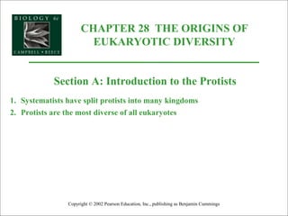 CHAPTER 28 THE ORIGINS OF
EUKARYOTIC DIVERSITY
Copyright © 2002 Pearson Education, Inc., publishing as Benjamin Cummings
Section A: Introduction to the Protists
1. Systematists have split protists into many kingdoms
2. Protists are the most diverse of all eukaryotes
 