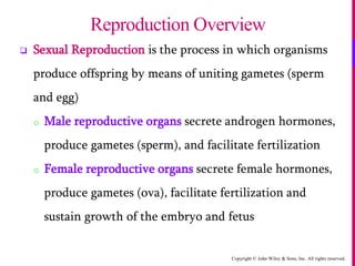 Copyright © John Wiley & Sons, Inc. All rights reserved.
 Sexual Reproduction is the process in which organisms
produce offspring by means of uniting gametes (sperm
and egg)
o Male reproductive organs secrete androgen hormones,
produce gametes (sperm), and facilitate fertilization
o Female reproductive organs secrete female hormones,
produce gametes (ova), facilitate fertilization and
sustain growth of the embryo and fetus
Reproduction Overview
 