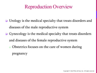 Copyright © John Wiley & Sons, Inc. All rights reserved.
 Urology is the medical specialty that treats disorders and
diseases of the male reproductive system
 Gynecology is the medical specialty that treats disorders
and diseases of the female reproductive system
o Obstetrics focuses on the care of women during
pregnancy
Reproduction Overview
 