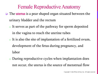Copyright © John Wiley & Sons, Inc. All rights reserved.
 The uterus is a pear shaped organ situated between the
urinary bladder and the rectum
o It serves as part of the pathway for sperm deposited
in the vagina to reach the uterine tubes
o It is also the site of implantation of a fertilized ovum,
development of the fetus during pregnancy, and
labor
o During reproductive cycles when implantation does
not occur, the uterus is the source of menstrual flow
Female ReproductiveAnatomy
 