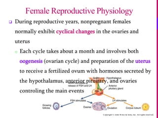 Copyright © John Wiley & Sons, Inc. All rights reserved.
 During reproductive years, nonpregnant females
normally exhibit cyclical changes in the ovaries and
uterus
o Each cycle takes about a month and involves both
oogenesis (ovarian cycle) and preparation of the uterus
to receive a fertilized ovum with hormones secreted by
the hypothalamus, anterior pituitary, and ovaries
controling the main events
Female Reproductive Physiology
 