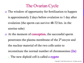 Copyright © John Wiley & Sons, Inc. All rights reserved.
 The window of opportunity for fertilization to happen
is approximately 2 days before ovulation to 1 day after
ovulation (the sperm can survive 48-72 hrs. in the
uterine tube)
 At the moment of conception, the successful sperm
penetrates the plasma membrane of the 2o
oocyte and
the nuclear material of the two cells unite to
reconstitute the normal number of chromosomes (2n)
o The new diploid cell is called a zygote
The Ovarian Cycle
 