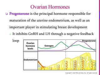 Copyright © John Wiley & Sons, Inc. All rights reserved.
 Progesterone is the principal hormone responsible for
maturation of the uterine endometrium, as well as an
important player in stimulating breast development
o It inhibits GnRH and LH through a negative feedback
loop
Ovarian Hormones
 