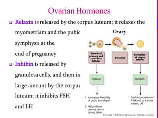 Copyright © John Wiley & Sons, Inc. All rights reserved.
 Relaxin is released by the corpus luteum; it relaxes the
myometrium and the pubic
symphysis at the
end of pregnancy
 Inhibin is released by
granulosa cells, and then in
large amount by the corpus
luteum; it inhibits FSH
and LH
Ovarian Hormones
 