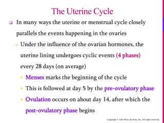 Copyright © John Wiley & Sons, Inc. All rights reserved.
 In many ways the uterine or menstrual cycle closely
parallels the events happening in the ovaries
o Under the influence of the ovarian hormones, the
uterine lining undergoes cyclic events (4 phases)
every 28 days (on average)
 Menses marks the beginning of the cycle
 This is followed at day 5 by the pre-ovulatory phase
 Ovulation occurs on about day 14, after which the
post-ovulatory phase begins
The Uterine Cycle
 