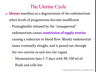 Copyright © John Wiley & Sons, Inc. All rights reserved.
 Menses manifests as a degeneration of the endometrium
when levels of progesterone become insufficient
o Prostaglandin released by the “unsupported”
endometrium causes constriction of supply arteries
causing a reduction in blood flow: Bloody endometrial
tissue eventually sloughs, and is passed out through
the two uterine os and into the vagina
 Menstruation lasts 1–7 days with 50–150 ml of
fluids and cells lost
The Uterine Cycle
 