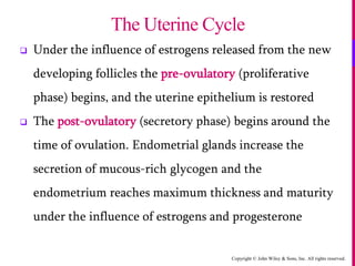 Copyright © John Wiley & Sons, Inc. All rights reserved.
 Under the influence of estrogens released from the new
developing follicles the pre-ovulatory (proliferative
phase) begins, and the uterine epithelium is restored
 The post-ovulatory (secretory phase) begins around the
time of ovulation. Endometrial glands increase the
secretion of mucous-rich glycogen and the
endometrium reaches maximum thickness and maturity
under the influence of estrogens and progesterone
The Uterine Cycle
 