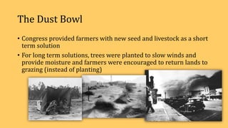 The Dust Bowl
• Congress provided farmers with new seed and livestock as a short
term solution
• For long term solutions, trees were planted to slow winds and
provide moisture and farmers were encouraged to return lands to
grazing (instead of planting)
 