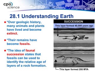 28.1 Understanding Earth
   *Over geologic history,
    many animals and plants
    have lived and become
    extinct.

   *Their remains have
    become fossils.

   *The idea of faunal
    succession states that
    fossils can be used to
    identify the relative age of
    layers of a rock formation.
 