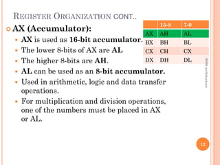 REGISTER ORGANIZATION CONT..
 AX (Accumulator):
 AX is used as 16-bit accumulator.
 The lower 8-bits of AX are AL
 The higher 8-bits are AH.
 AL can be used as an 8-bit accumulator.
 Used in arithmetic, logic and data transfer
operations.
 For multiplication and division operations,
one of the numbers must be placed in AX
or AL.
12
15-8 7-0
AX AH AL
BX BH BL
CX CH CX
DX DH DL
8086
architecture
 