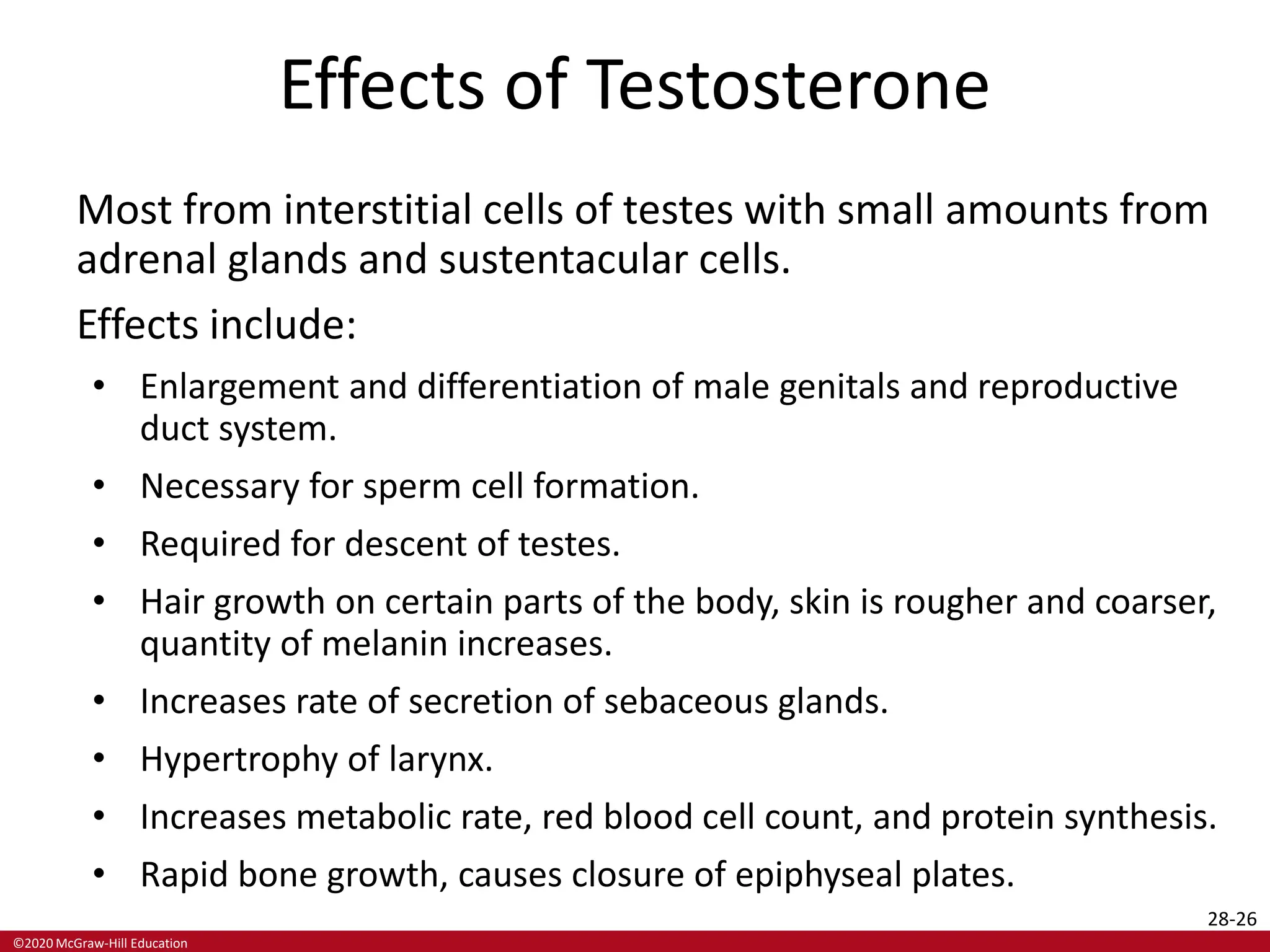 Testosterone Reproductive System chapter 28 Reproductive System Power Point | PPTX