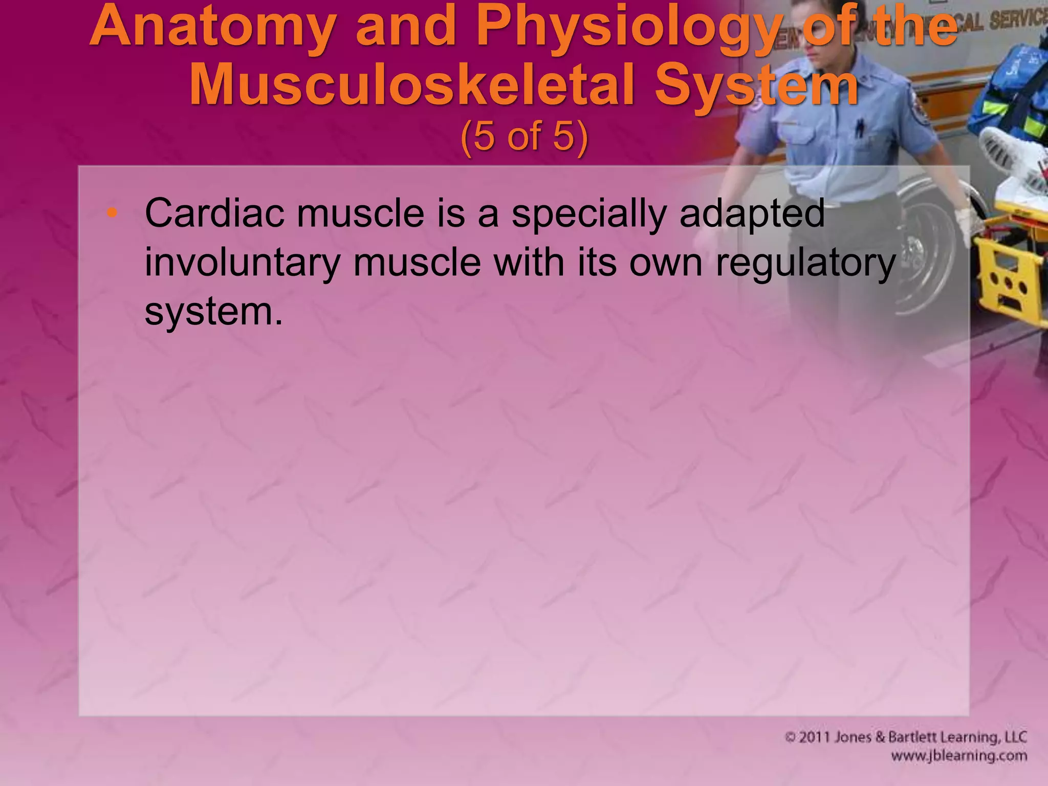 Anatomy and Physiology of the
Musculoskeletal System
(5 of 5)
• Cardiac muscle is a specially adapted
involuntary muscle with its own regulatory
system.
 