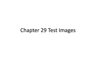 Chapter 29 Test Images
 