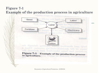 Figure 7-1
Example of the production process in agriculture
Economics of Agricultural Production (AGR553)
 