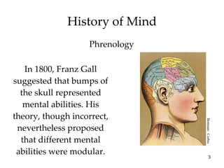 History of Mind In 1800, Franz Gall suggested that bumps of the skull represented mental abilities. His theory, though incorrect, nevertheless proposed that different mental abilities were modular. Phrenology Bettman/  Corbis 