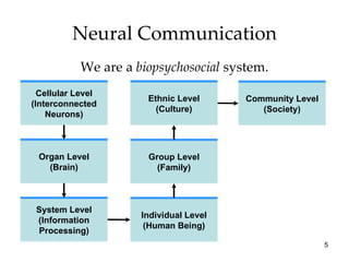 Neural Communication We are a  biopsychosocial  system. Cellular Level (Interconnected Neurons) Organ Level (Brain) System Level (Information Processing) Individual Level (Human Being) Group Level (Family) Ethnic Level (Culture) Community Level (Society) 