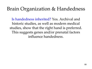 Brain Organization & Handedness Is handedness inherited?  Yes. Archival and historic studies, as well as modern medical studies, show that the right hand is preferred. This suggests genes and/or prenatal factors influence handedness. 