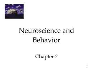 Neuroscience and Behavior Chapter 2 