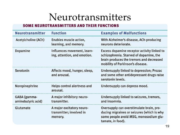 chapter 2 ap psych brain amp behavior neurotransmitters and drugs chart