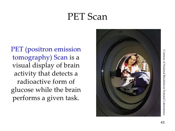 Chapter 2 Ap Psych- Brain & Behavior