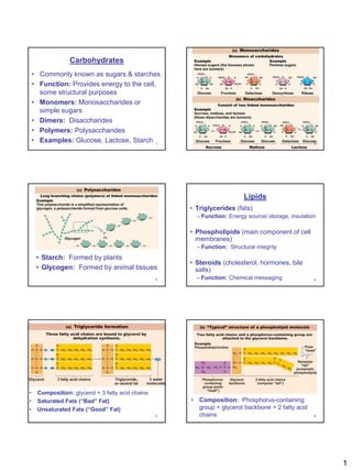 Carbohydrates
    • Commonly known as sugars & starches
    • Function: Provides energy to the cell,
      some structural purposes
    • Monomers: Monosaccharides or
      simple sugars
    • Dimers: Disaccharides
    • Polymers: Polysaccharides
    • Examples: Glucose, Lactose, Starch           1                                                  2




                                                                           Lipids
                                                       • Triglycerides (fats)
                                                         – Function: Energy source/ storage, insulation

                                                       • Phospholipids (main component of cell
                                                         membranes)
                                                         – Function: Structural integrity
     • Starch: Formed by plants
                                                       • Steroids (cholesterol, hormones, bile
     • Glycogen: Formed by animal tissues                salts)
                                                   3     – Function: Chemical messaging               4




•    Composition: glycerol + 3 fatty acid chains
•    Saturated Fats (“Bad” Fat)                        • Composition: Phosphorus-containing
•    Unsaturated Fats (“Good” Fat)                       group + glycerol backbone + 2 fatty acid
                                                   5     chains                                       6




                                                                                                          1
 