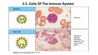  Lymphocytes exhibit directed extravasation at
- inflammatory sites and
- secondary lymphoid organs.
 The recirculation ...
