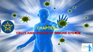 CHAPTER 2
CELLS AND ORGANS OF IMMUNE SYSTEMCELLS AND ORGANS OF IMMUNE SYSTEM
 